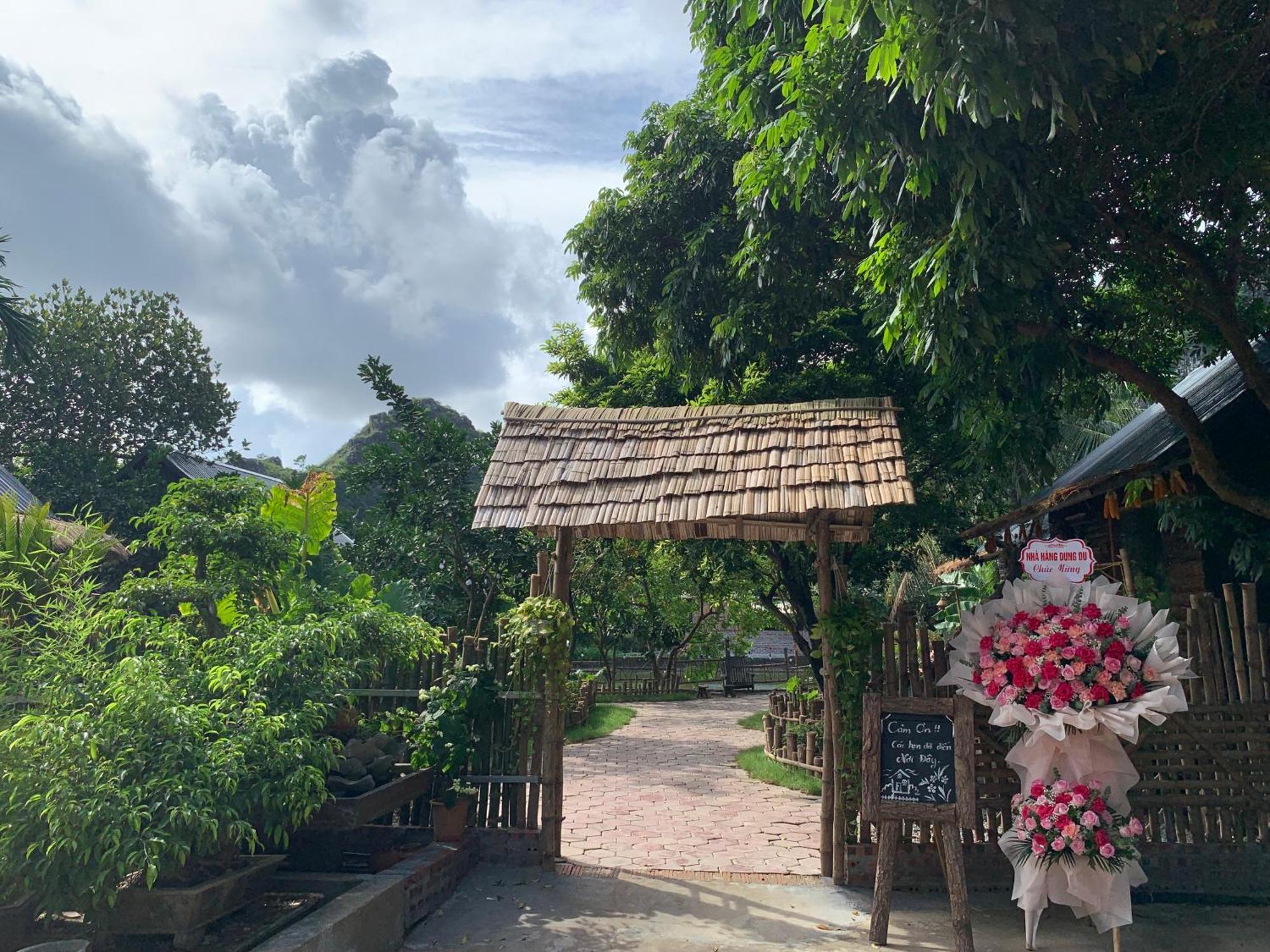 Peaceful Refuge Homestay Ninh Binh Bagian luar foto