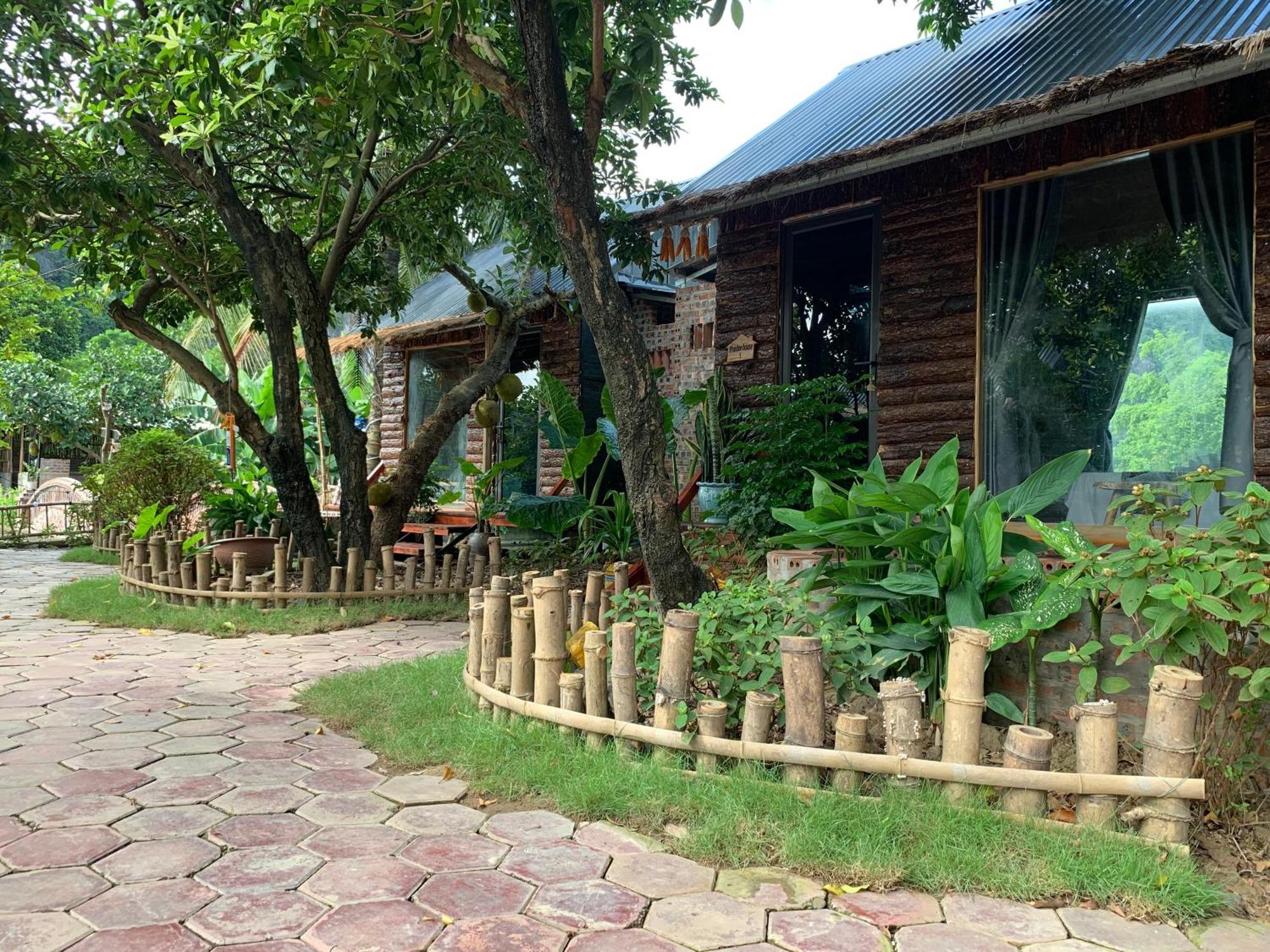 Peaceful Refuge Homestay Ninh Binh Bagian luar foto
