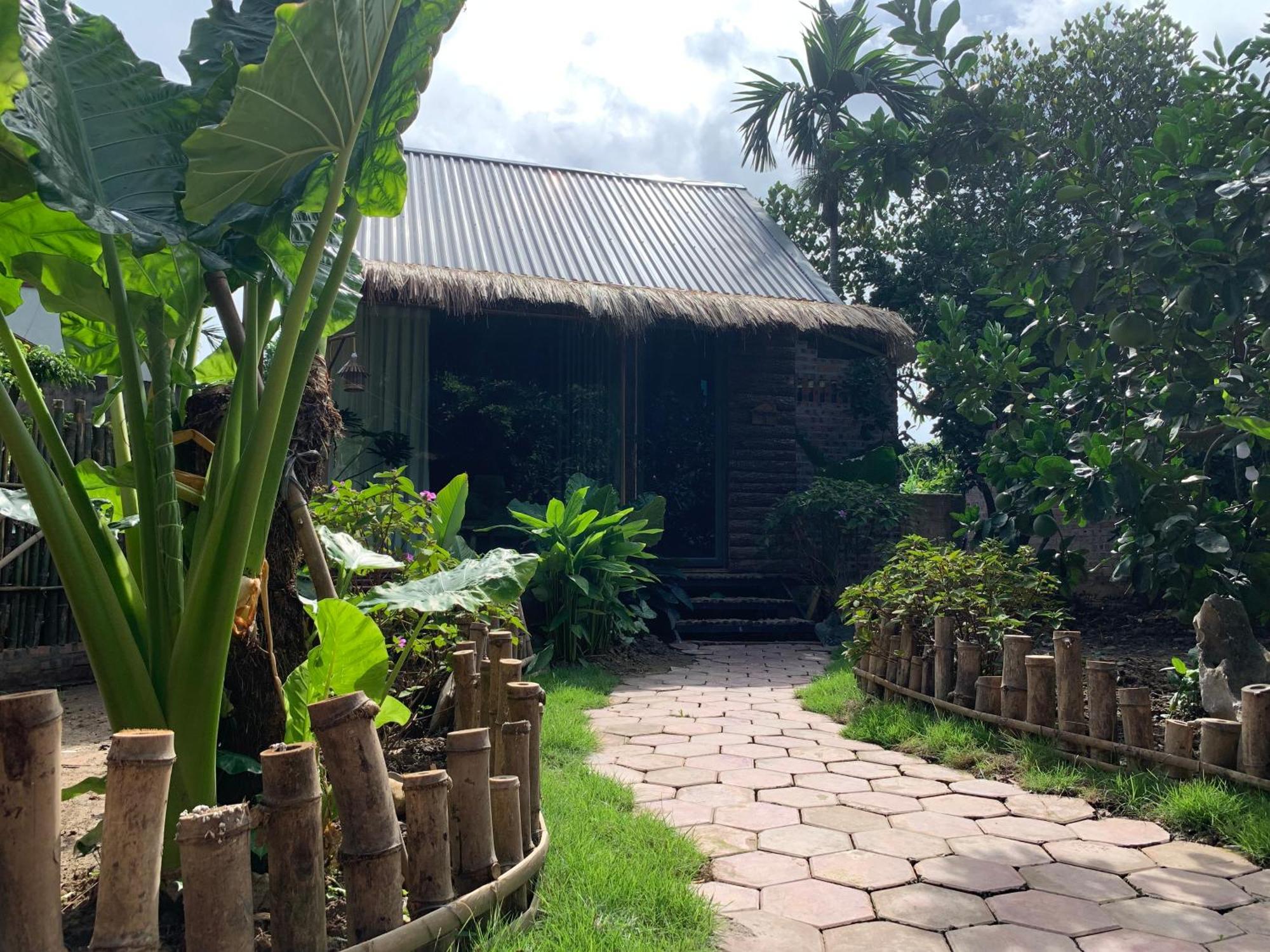 Peaceful Refuge Homestay Ninh Binh Bagian luar foto