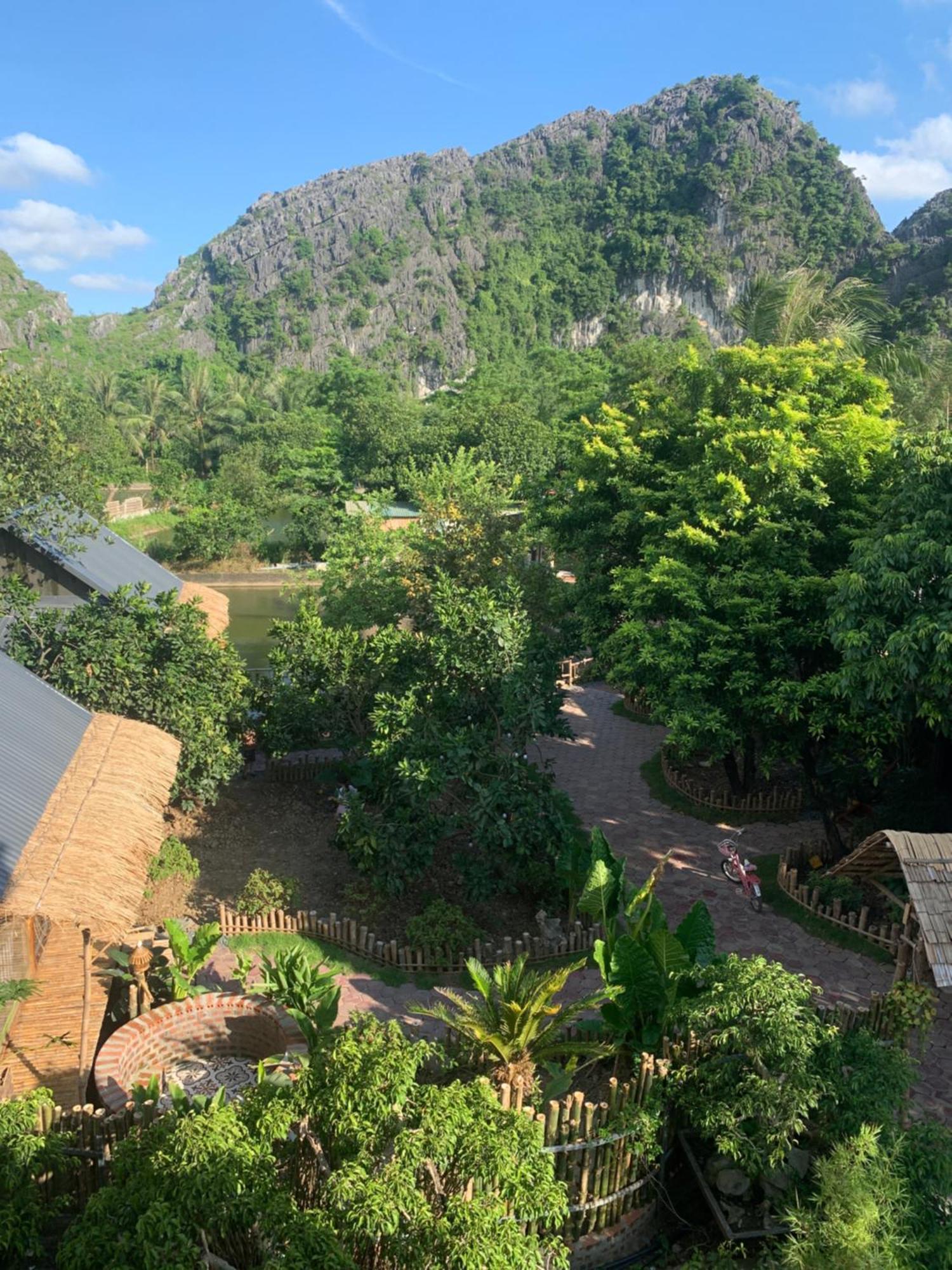 Peaceful Refuge Homestay Ninh Binh Bagian luar foto