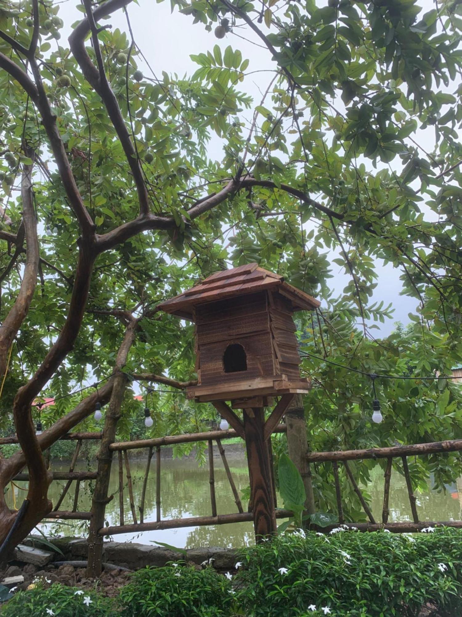 Peaceful Refuge Homestay Ninh Binh Bagian luar foto