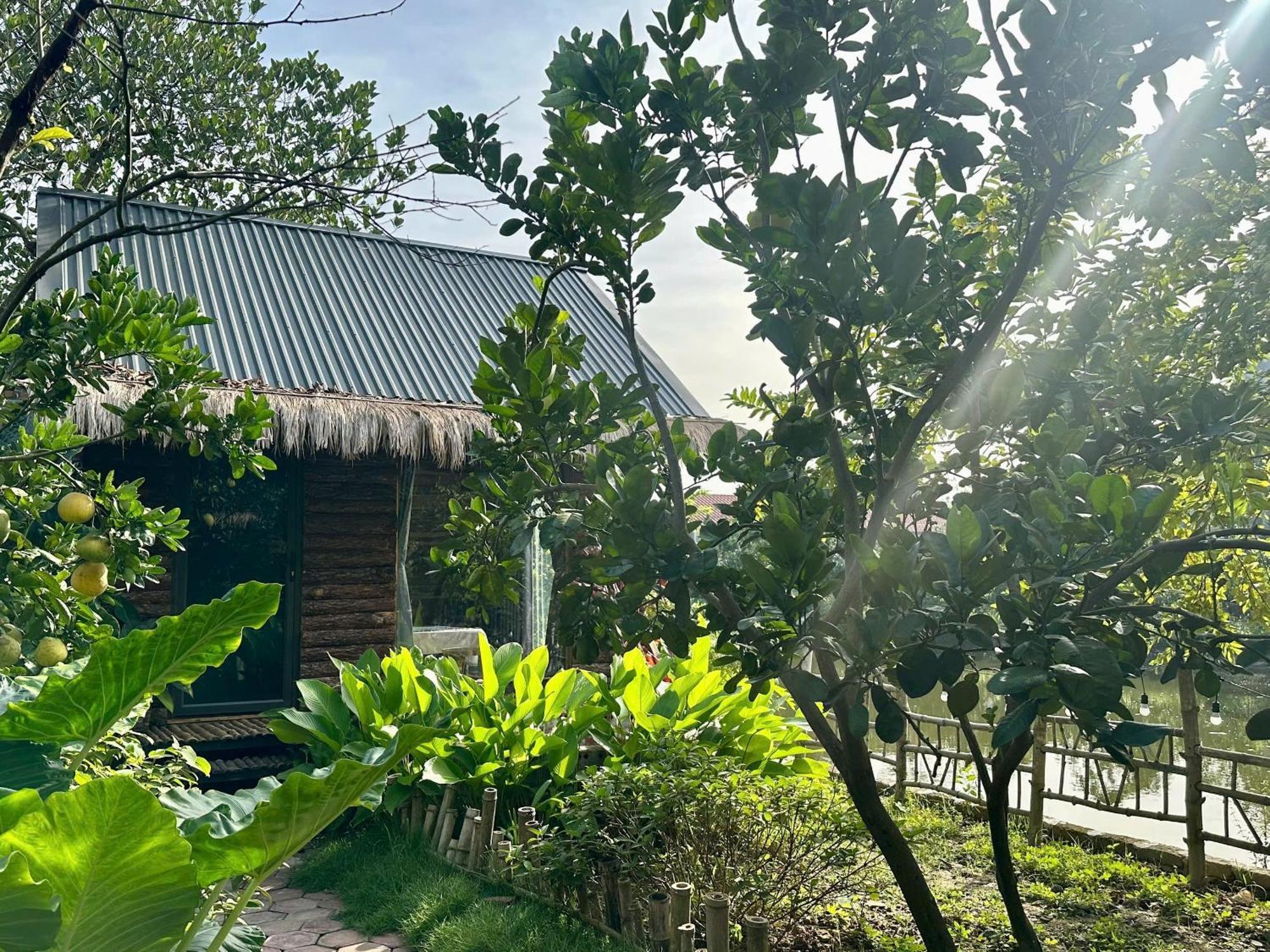 Peaceful Refuge Homestay Ninh Binh Bagian luar foto